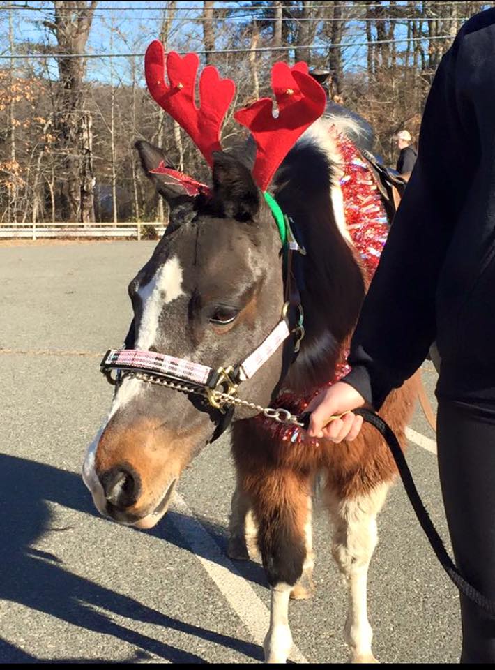 Pony Parties with Hats