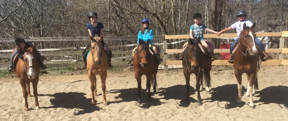 Group Horsemanship Lessons