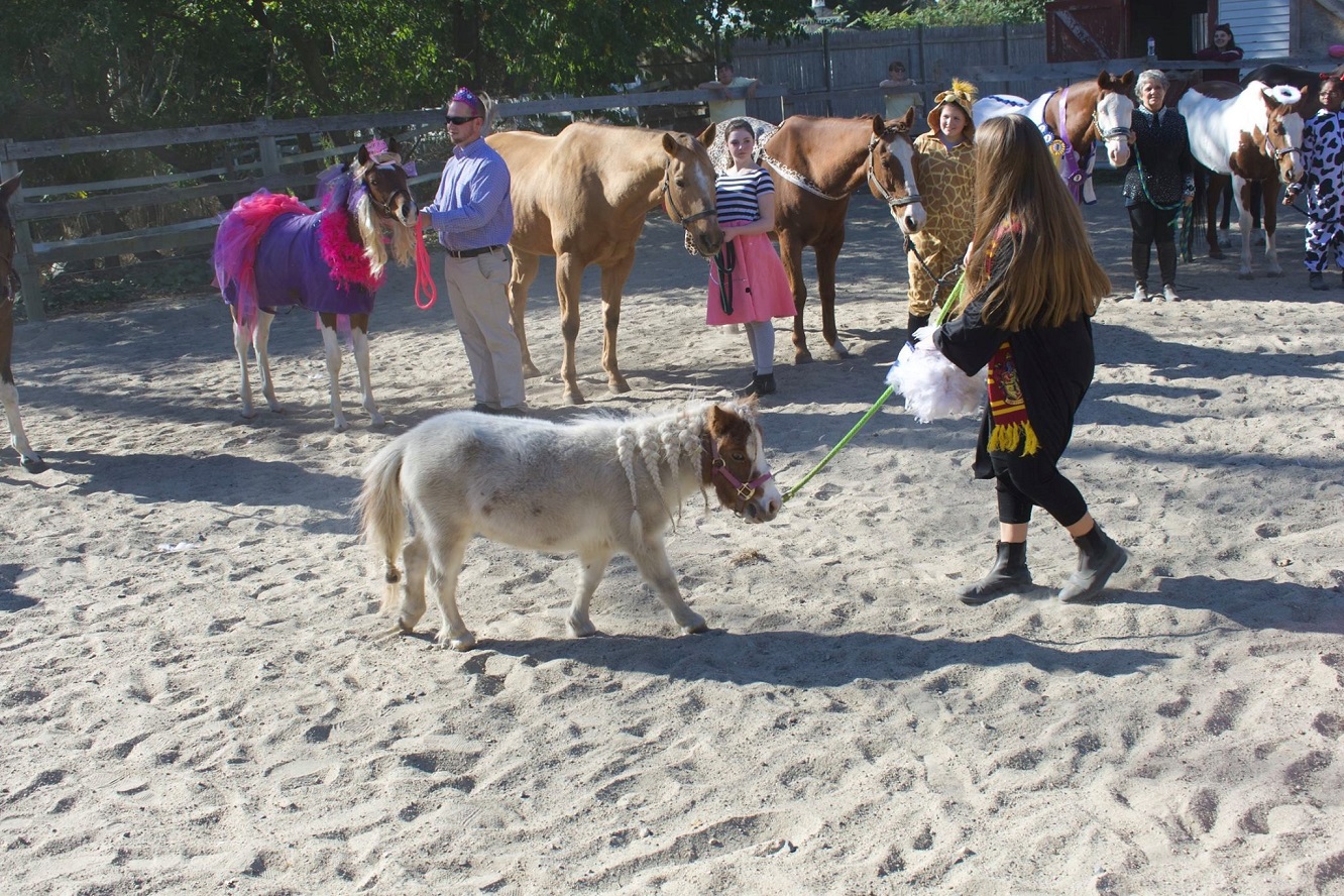 Indian Rock Stables 2017 Halloween Party