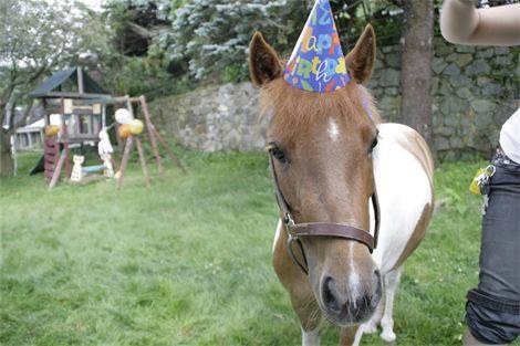 Pony Partes with a pony in a hat