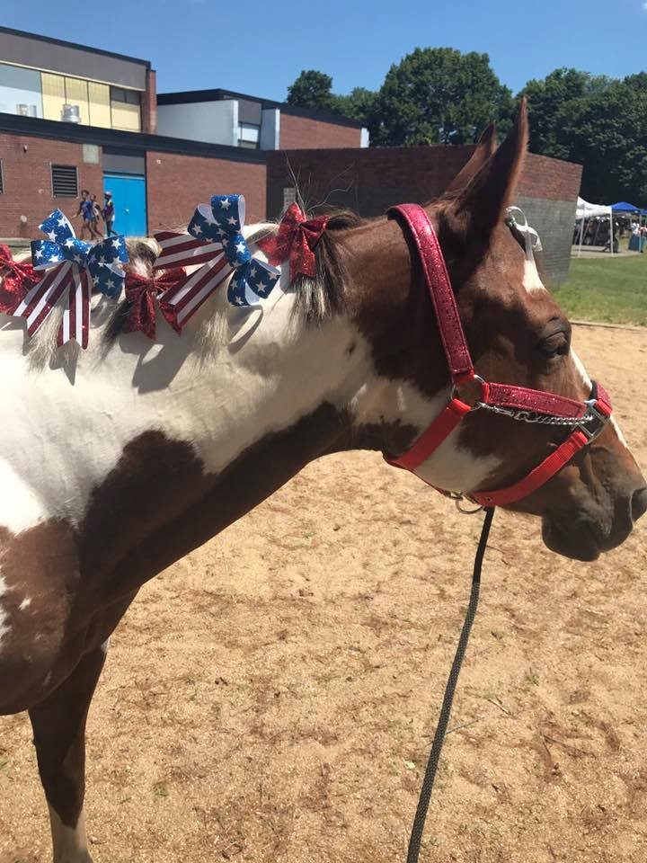 Indian Rock Stables Pony Parties