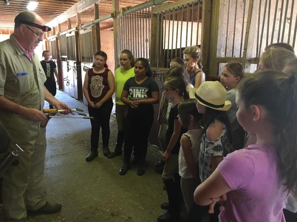 Summer Horsemanship Program at Indian Rock Stables