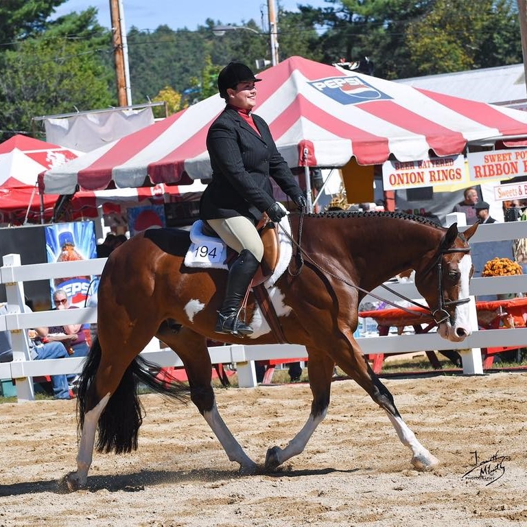 Benson Performance Horses at Indian Rock Stables, Saugus