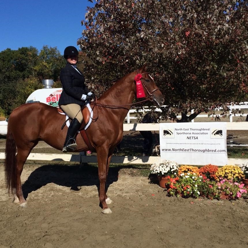 Benson Performance Horses at Indian Rock Stables, Saugus